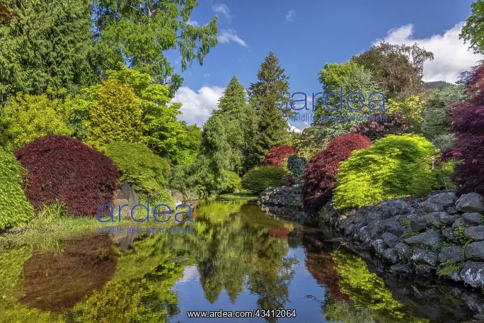 : USA, Washington State, Brinnon. Whitney Garden and : USA, Washington State, Brinnon. Whitney Garden and