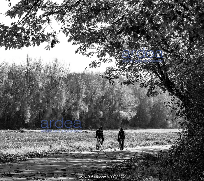 : USA, Washington State, Fall City black and white : USA, Washington State, Fall City black and white