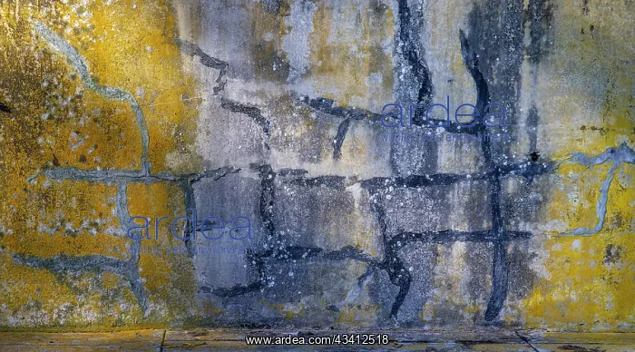 : USA, Washington State, Fort Flagler State Park : USA, Washington State, Fort Flagler State Park