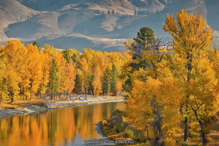 : USA, Washington State, Methow Valley and river edged : USA, Washington State, Methow Valley and river edged