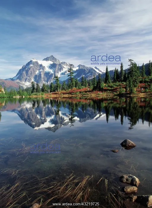 : USA, Washington State, North Cascades, View : USA, Washington State, North Cascades, View