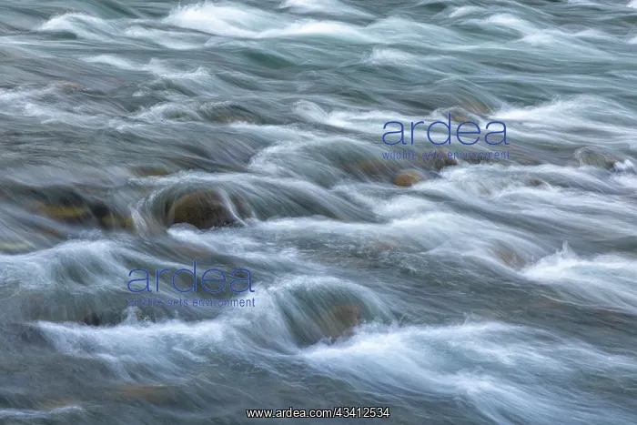 : USA, Washington State, Olympic National Park. Elwha : USA, Washington State, Olympic National Park. Elwha