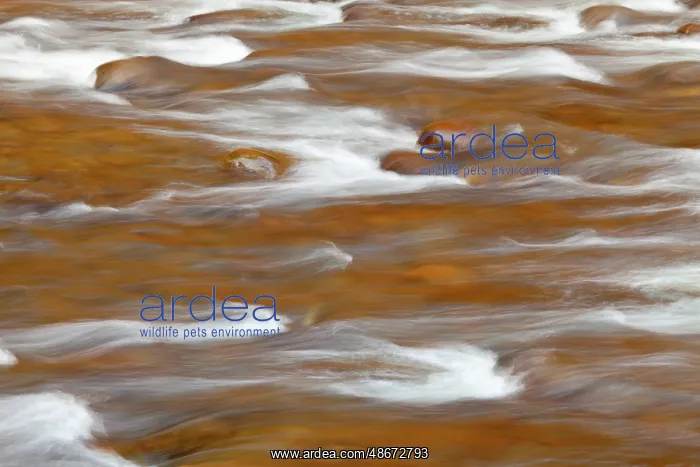 : USA, Washington State, Olympic National Park. Rapids in Sol : USA, Washington State, Olympic National Park. Rapids in Sol
