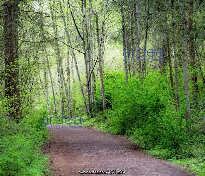 : USA, Washington State, Pacific Northwest Sammamish : USA, Washington State, Pacific Northwest Sammamish