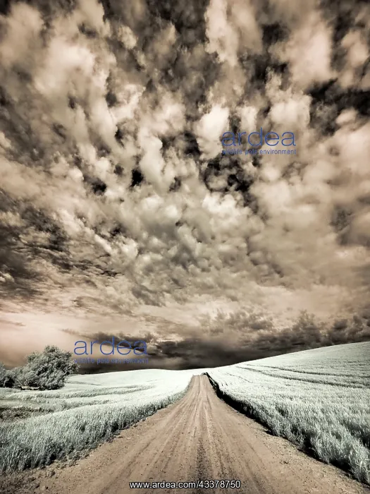  : USA, Washington State, Palouse. Backcountry road