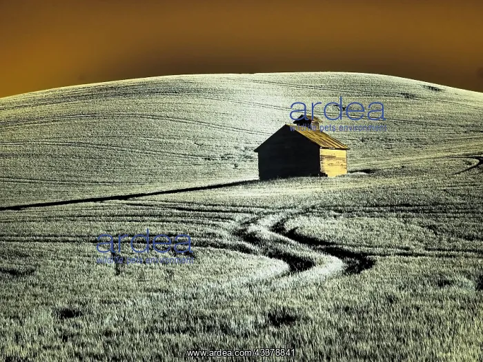 : USA, Washington State, Palouse region, Old barn : USA, Washington State, Palouse region, Old barn