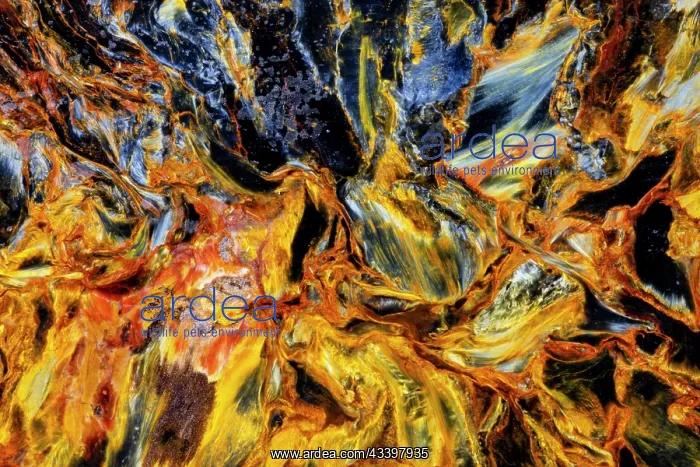 : USA, Washington State, Sammamish. Close-up pattern : USA, Washington State, Sammamish. Close-up pattern