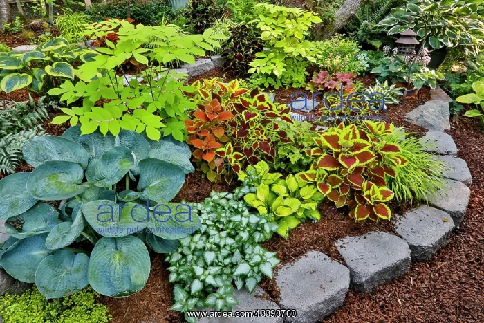 : USA, Washington State, Sammamish. Newly planted : USA, Washington State, Sammamish. Newly planted