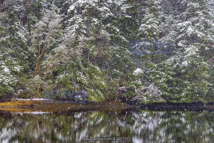 : USA, Washington State, Seabeck, Misery Point Preserve : USA, Washington State, Seabeck, Misery Point Preserve