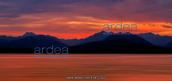 : USA, Washington State, Seabeck. Composite panoramic : USA, Washington State, Seabeck. Composite panoramic