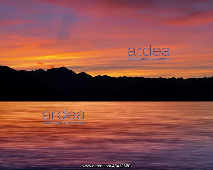 : USA, Washington State, Seabeck. Composite panoramic : USA, Washington State, Seabeck. Composite panoramic