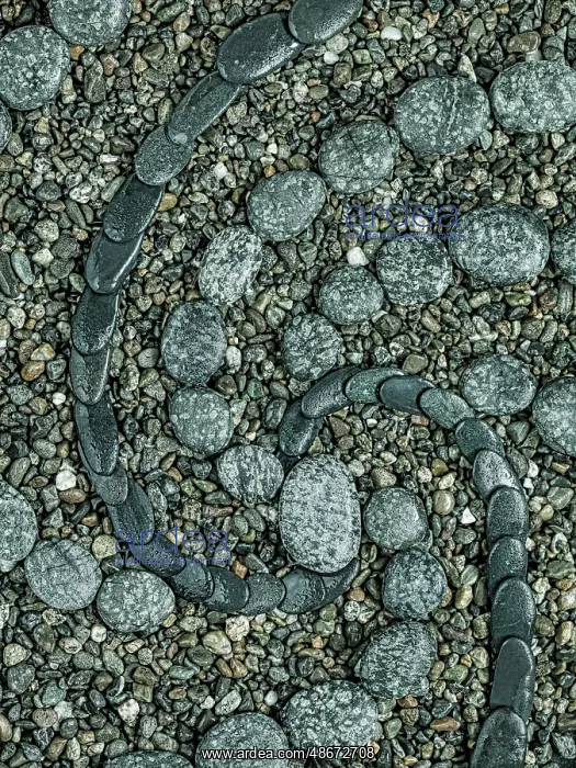 : USA, Washington State, Seabeck. Close-up of rock design : USA, Washington State, Seabeck. Close-up of rock design