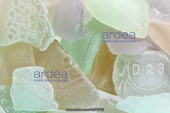 : USA, Washington State, Seabeck. Close-up of beach glass : USA, Washington State, Seabeck. Close-up of beach glass