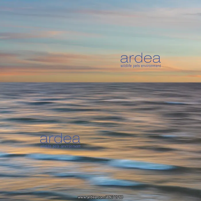 : USA, Washington State, Seabeck. Composite of fantasy