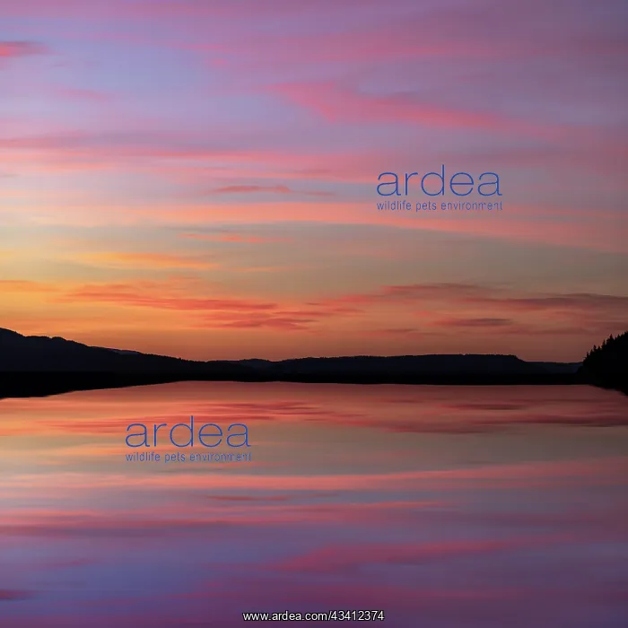 : USA, Washington State, Seabeck. Composite sunset : USA, Washington State, Seabeck. Composite sunset