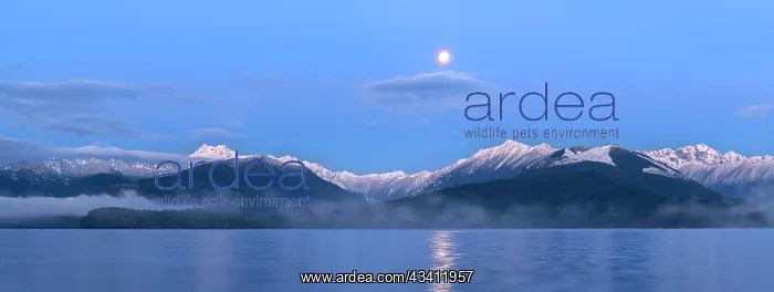 : USA, Washington State, Seabeck. Panoramic of moon : USA, Washington State, Seabeck. Panoramic of moon
