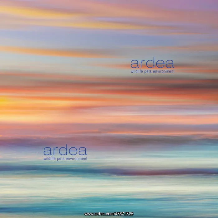  : USA, Washington State, Seabeck. Sunset on sky and ocean