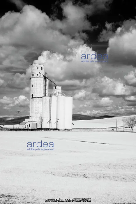: USA, Washington State, Silo with large clouds : USA, Washington State, Silo with large clouds