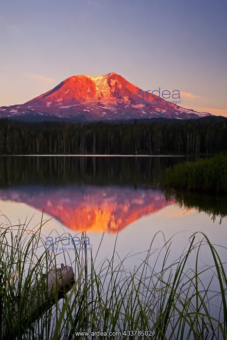 : USA, Washington State, Sunset on Mt. Adams reflecting : USA, Washington State, Sunset on Mt. Adams reflecting
