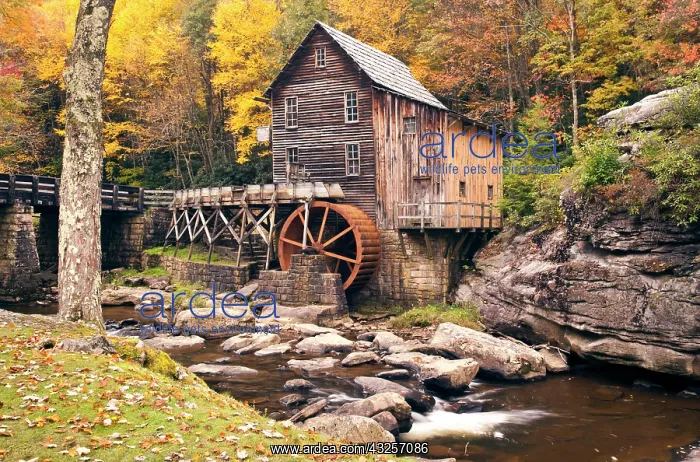 : USA, West Virginia, Clifftop. Babcock State : USA, West Virginia, Clifftop. Babcock State
