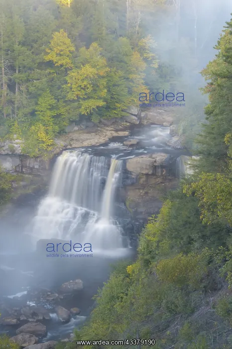: USA, West Virginia, Davis. Overview of waterfall : USA, West Virginia, Davis. Overview of waterfall