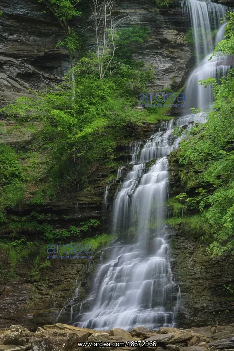 : USA, West Virginia, New River Gorge National Park. Waterfall : USA, West Virginia, New River Gorge National Park. Waterfall