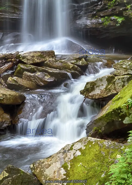 : USA, West Virginia, Pocahontas County. The : USA, West Virginia, Pocahontas County. The