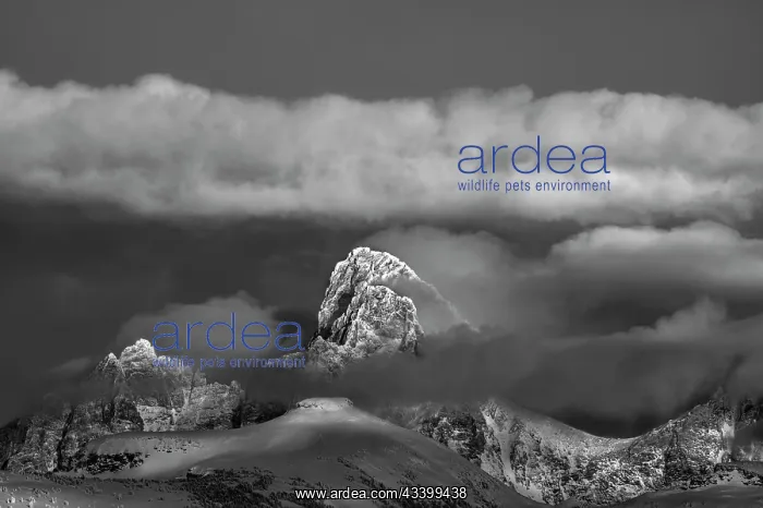: USA, Wyoming. Black and white landscape of Teton : USA, Wyoming. Black and white landscape of Teton