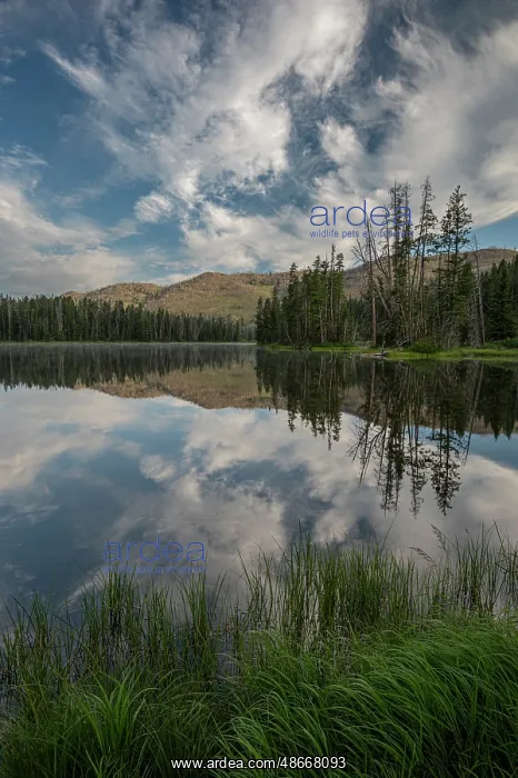 : USA, Wyoming. Clouds reflected in Sylvan Lake, Yellowstone : USA, Wyoming. Clouds reflected in Sylvan Lake, Yellowstone