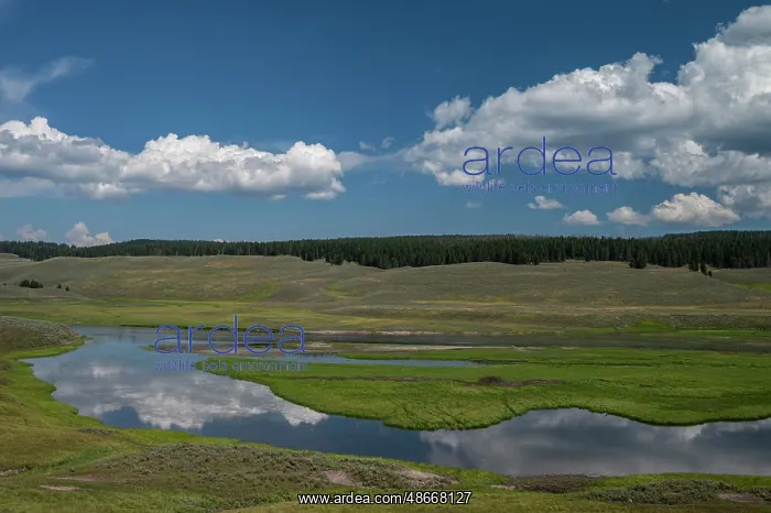 : USA, Wyoming. Clouds reflected in Yellowstone River, Hayden : USA, Wyoming. Clouds reflected in Yellowstone River, Hayden