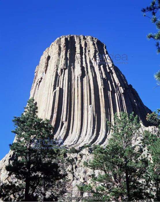 : USA -WYOMING, Devil's Tower National Monument - : USA -WYOMING, Devil's Tower National Monument -