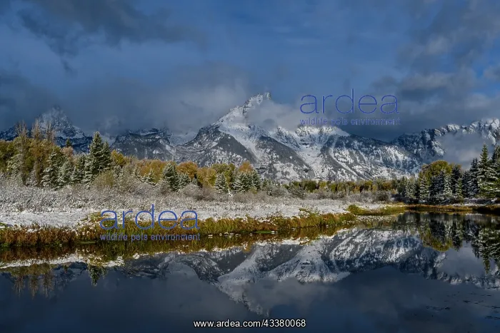 : USA, Wyoming. Fall snow and reflection of Teton : USA, Wyoming. Fall snow and reflection of Teton