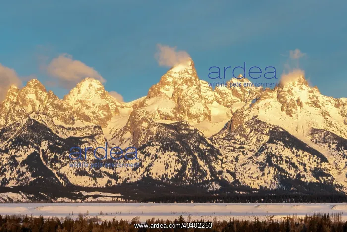 : USA, Wyoming, Grand Teton National Park. Grand Tetons : USA, Wyoming, Grand Teton National Park. Grand Tetons