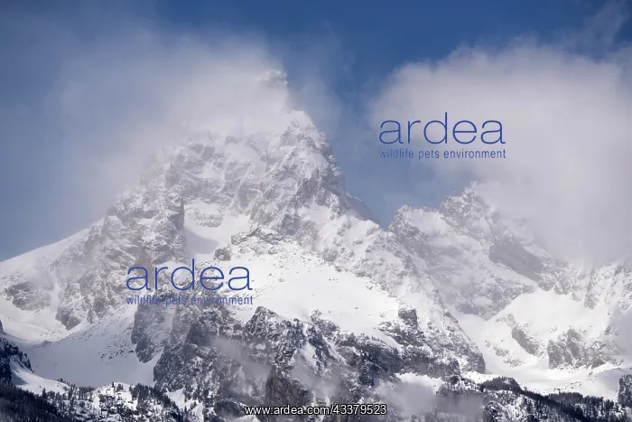 : USA, Wyoming, Grand Teton National Park. Clouds : USA, Wyoming, Grand Teton National Park. Clouds