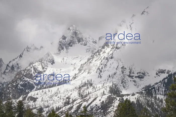 : USA, Wyoming, Grand Teton National Park. Clouds : USA, Wyoming, Grand Teton National Park. Clouds