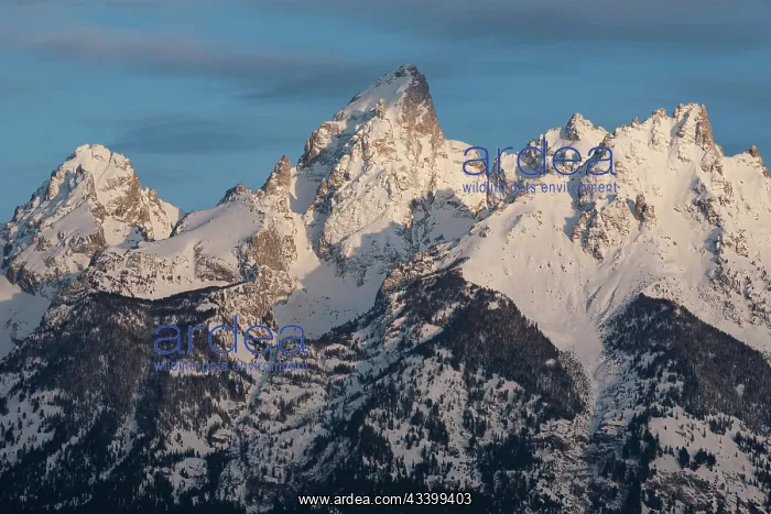  : USA, Wyoming, Grand Teton National Park. Northeast