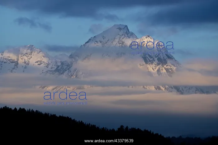 : USA, Wyoming, Grand Teton National Park. Sunrise : USA, Wyoming, Grand Teton National Park. Sunrise