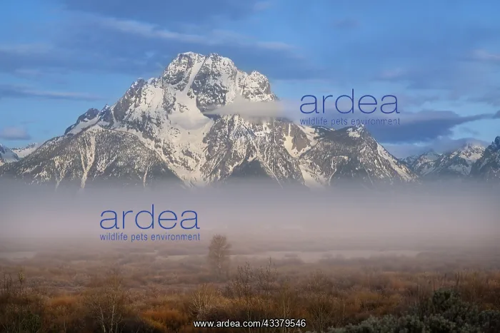  : USA, Wyoming, Grand Teton National Park. Sunrise