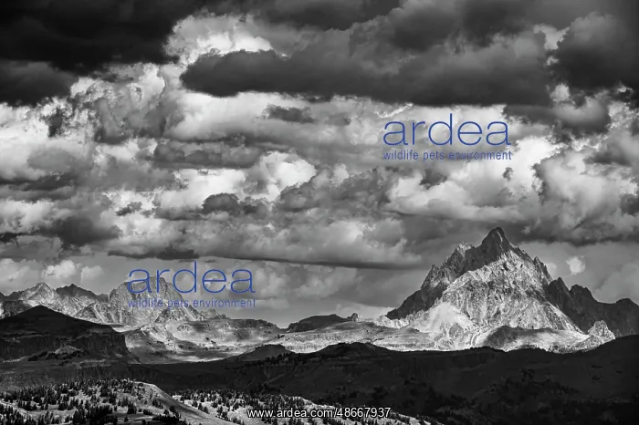 : USA, Wyoming. Grand Teton is visible from Taylor mountain : USA, Wyoming. Grand Teton is visible from Taylor mountain