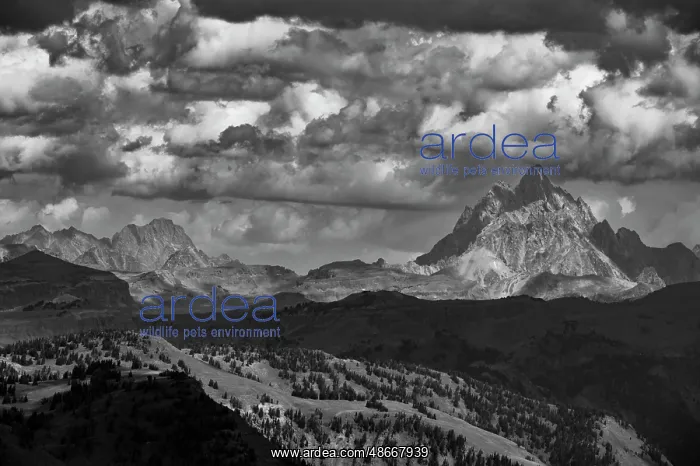 : USA, Wyoming. Grand Teton is visible from Taylor mountain : USA, Wyoming. Grand Teton is visible from Taylor mountain