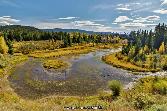 : USA, Wyoming. Grand Tetons National Park bend in : USA, Wyoming. Grand Tetons National Park bend in