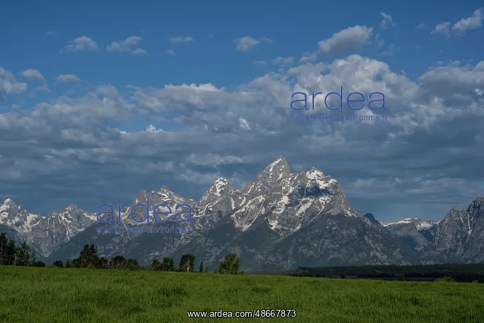 : USA, Wyoming. Landscape of the Grand Teton, Grand Teton : USA, Wyoming. Landscape of the Grand Teton, Grand Teton