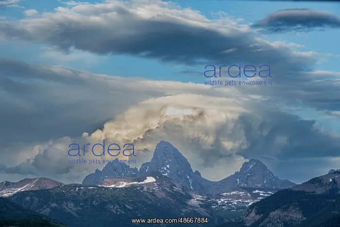 : USA, Wyoming. Landscape of the Grand Teton, from the west : USA, Wyoming. Landscape of the Grand Teton, from the west