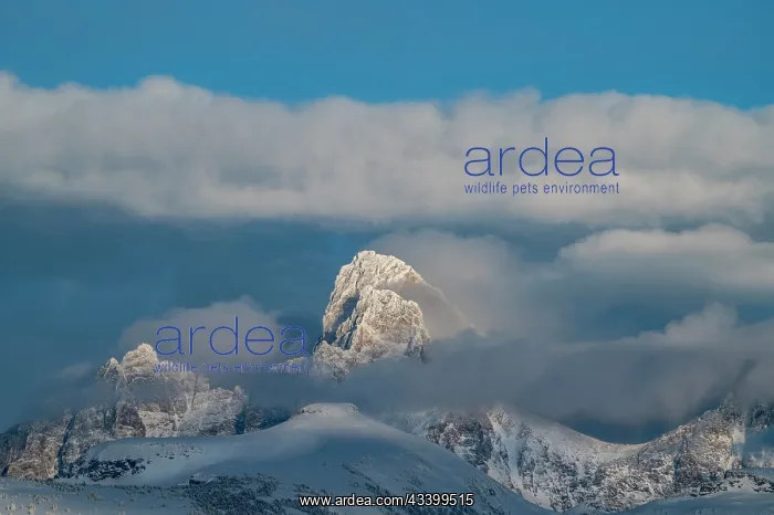 : USA, Wyoming. Landscape of Teton Mountains from : USA, Wyoming. Landscape of Teton Mountains from