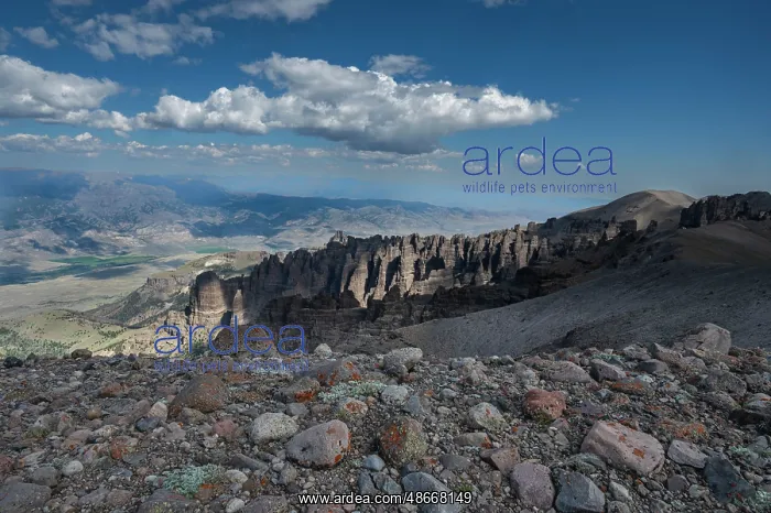 : USA, Wyoming. Lichen colored rocks and pinnacle like cliffs : USA, Wyoming. Lichen colored rocks and pinnacle like cliffs