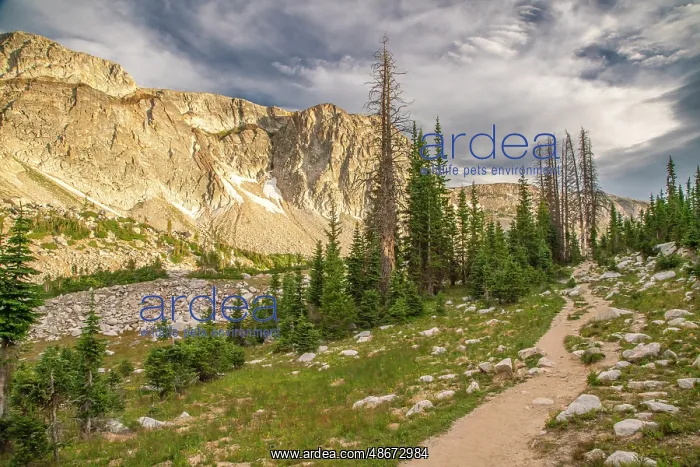 : USA, Wyoming, Medicine Bow National Forest, Snowy Range : USA, Wyoming, Medicine Bow National Forest, Snowy Range