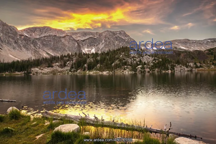 : USA, Wyoming, Medicine Bow National Forest. Landscape with : USA, Wyoming, Medicine Bow National Forest. Landscape with