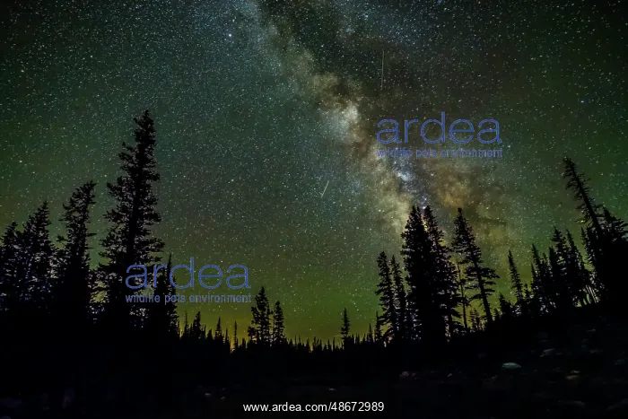 : USA, Wyoming, Medicine Bow National Forest. Milky Way and : USA, Wyoming, Medicine Bow National Forest. Milky Way and