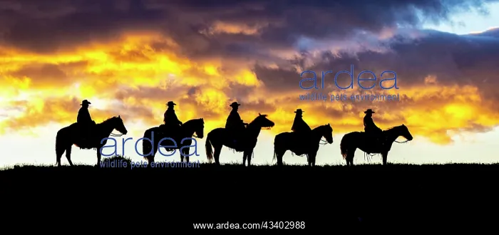 : USA, Wyoming, Shell. Hideout Ranch, Big Horn Mountain : USA, Wyoming, Shell. Hideout Ranch, Big Horn Mountain