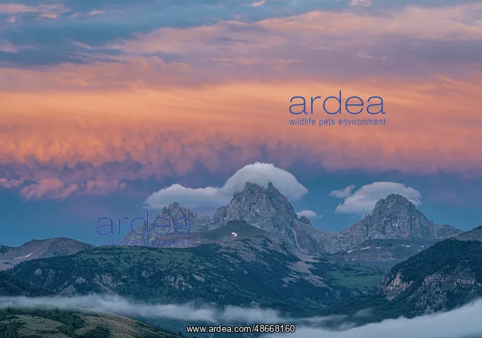 : USA, Wyoming. Sunset and stratus clouds over Teton Range : USA, Wyoming. Sunset and stratus clouds over Teton Range